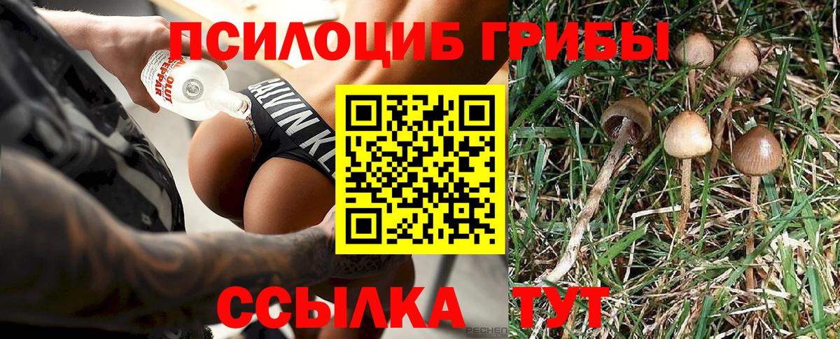 Галлюциногенные грибы ЛСД Елец